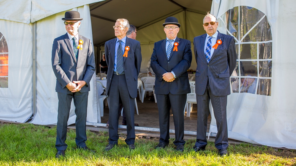 Lierop Fokpaardendag 2016 (22).jpg - Lierop Fokpaardendag 2016